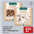 klik op dit plaatje voor een vergroting en voor vergelijkbare aanbiedingen gerelateerd aan ` 4 gardenline kweekset bruine kit witte champignons oogst weken colheita stuk `  4 gardenline kweekset bruine kit witte champignons oogst weken colheita stuk