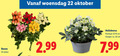 klik op dit plaatje voor een vergroting en voor vergelijkbare aanbiedingen gerelateerd aan ` 10 22 30 woensdag oktober rozen stelen helleborus potmaat cm hoogte ca. `  10 22 30 woensdag oktober rozen stelen helleborus potmaat cm hoogte ca.