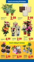klik op dit plaatje voor een vergroting en voor vergelijkbare aanbiedingen gerelateerd aan ` 11 12 13 15 25 31 40 woensdag oktober keramische pot potmaat cm hoogte klimplant varen ca. amaryllis rozenboeket stelen amaryllisbol kleuren vrijdag dancing 5 3.99 kamerplant ` 11 12 13 15 25 31 40 woensdag oktober keramische pot potmaat cm hoogte klimplant varen ca. amaryllis rozenboeket stelen amaryllisbol kleuren vrijdag dancing 5 3.99 kamerplant