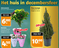 klik op dit plaatje voor een vergroting en voor vergelijkbare aanbiedingen gerelateerd aan ` 3 10 14 23 35 60 90 huis alstroemeria bos stelen cm boompje potmaat hoogte ca. 6 kerstster mix kleuren pot lips ` 3 10 14 23 35 60 90 huis alstroemeria bos stelen cm boompje potmaat hoogte ca. 6 kerstster mix kleuren pot lips