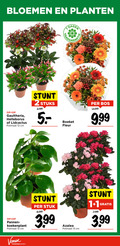klik op dit plaatje voor een vergroting en voor vergelijkbare aanbiedingen gerelateerd aan ` boeket gaultheria 1 2 5 12 13 bloemen planten dagen helleborus potmaat cm stuks fleur bos pannen stuk 3.99 azalea ` boeket gaultheria 1 2 5 12 13 bloemen planten dagen helleborus potmaat cm stuks fleur bos pannen stuk 3.99 azalea