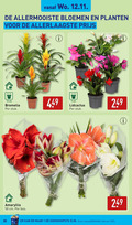 klik op dit plaatje voor een vergroting en voor vergelijkbare aanbiedingen gerelateerd aan ` 1 9 12 35 50 allermooiste bloemen planten cm bromelia stuk amaryllis bos kassa ` 1 9 12 35 50 allermooiste bloemen planten cm bromelia stuk amaryllis bos kassa