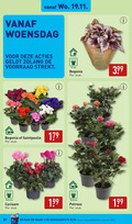 klik op dit plaatje voor een vergroting en voor vergelijkbare aanbiedingen gerelateerd aan ` 1 12 woensdag cm begonia stuk cyclaam potroos sparkling beauties tips kassa ` 1 12 woensdag cm begonia stuk cyclaam potroos sparkling beauties tips kassa