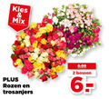 klik op dit plaatje voor een vergroting en voor vergelijkbare aanbiedingen gerelateerd aan ` 2 mix rozen trosanjers bossen ` 2 mix rozen trosanjers bossen