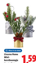 klik op dit plaatje voor een vergroting en voor vergelijkbare aanbiedingen gerelateerd aan ` livarno home mini kerstboompje ` livarno home mini kerstboompje