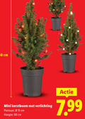 klik op dit plaatje voor een vergroting en voor vergelijkbare aanbiedingen gerelateerd aan ` 15 60 cm mini kerstboom verlichting potmaat hoogte ` 15 60 cm mini kerstboom verlichting potmaat hoogte