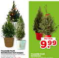 klik op dit plaatje voor een vergroting en voor vergelijkbare aanbiedingen gerelateerd aan ` 1 feestelijk kerstbomen lampjes kerstboom mand stuk varieeren 5.99 rode strik meter ` 1 feestelijk kerstbomen lampjes kerstboom mand stuk varieeren 5.99 rode strik meter