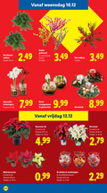 klik op dit plaatje voor een vergroting en voor vergelijkbare aanbiedingen gerelateerd aan ` 4 6 10 12 16 17 20 35 46 woensdag nordmann takken lengte cm katjes gekleurd kleuren stelen amaryllis kerstglas goud rood kerst arrangement glazen bol vrijdag kerststuk kerstster xl wit potmaat hoogte ca. mini orchidee ` 4 6 10 12 16 17 20 35 46 woensdag nordmann takken lengte cm katjes gekleurd kleuren stelen amaryllis kerstglas goud rood kerst arrangement glazen bol vrijdag kerststuk kerstster xl wit potmaat hoogte ca. mini orchidee
