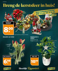 klik op dit plaatje voor een vergroting en voor vergelijkbare aanbiedingen gerelateerd aan ` amaryllis boeket 2 12 42 45 650 1000 week kerstsfeer huis 8 00 25 mb designed assortiment filiaal stephanotis sierpot potmaat cm hoogte ca. pot december ` amaryllis boeket 2 12 42 45 650 1000 week kerstsfeer huis 8 00 25 mb designed assortiment filiaal stephanotis sierpot potmaat cm hoogte ca. pot december