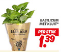 klik op dit plaatje voor een vergroting en voor vergelijkbare aanbiedingen gerelateerd aan ` kruidenplanten basilicum kluit stuk pit ` kruidenplanten basilicum kluit stuk pit