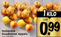 klik op dit plaatje voor een vergroting en voor vergelijkbare aanbiedingen gerelateerd aan ` goudreinetten 1 hollandse goudreinet appels kilo 99 ` goudreinetten 1 hollandse goudreinet appels kilo 99