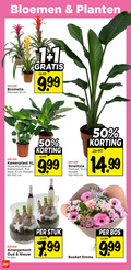 klik op dit plaatje voor een vergroting en voor vergelijkbare aanbiedingen gerelateerd aan ` 1 12 19 50 bloemen planten bromelia potmaat cm kamerplant xl monstera maat hoogte strelitzia am voordeel arrangement oud glas stuk boeket emma bos ` 1 12 19 50 bloemen planten bromelia potmaat cm kamerplant xl monstera maat hoogte strelitzia am voordeel arrangement oud glas stuk boeket emma bos