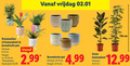 klik op dit plaatje voor een vergroting en voor vergelijkbare aanbiedingen gerelateerd aan ` kamerplanten 13 vrijdag cm kamerplant keramische pot potmaat hoogte ca. 3.99 ` kamerplanten 13 vrijdag cm kamerplant keramische pot potmaat hoogte ca. 3.99