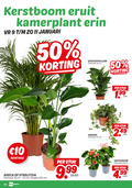 klik op dit plaatje voor een vergroting en voor vergelijkbare aanbiedingen gerelateerd aan ` kamerplanten 9 10 11 12 13 19 24 50 120 kerstboom eruit kamerplant januari spathiphyllum potmaat cm areca strelitzia hoogte stuk 3.99 hedera anthurium ` kamerplanten 9 10 11 12 13 19 24 50 120 kerstboom eruit kamerplant januari spathiphyllum potmaat cm areca strelitzia hoogte stuk 3.99 hedera anthurium