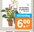 klik op dit plaatje voor een vergroting en voor vergelijkbare aanbiedingen gerelateerd aan ` 2 60 combinatie orchidee anthurium stuk ` 2 60 combinatie orchidee anthurium stuk