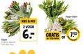 klik op dit plaatje voor een vergroting en voor vergelijkbare aanbiedingen gerelateerd aan ` 2 tulpen bicolor maas kleuren bos mix punten happy dag laag ` 2 tulpen bicolor maas kleuren bos mix punten happy dag laag