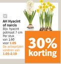 klik op dit plaatje voor een vergroting en voor vergelijkbare aanbiedingen gerelateerd aan ` 7 30 hyacint narcis potmaat cm stuk varieeren ` 7 30 hyacint narcis potmaat cm stuk varieeren
