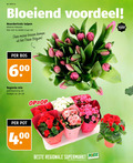 klik op dit plaatje voor een vergroting en voor vergelijkbare aanbiedingen gerelateerd aan ` 14 15 30 34 40 600 week bloeiend voordeel noordertrots tulpen kleuren bos stelen cm bossen friese noorder trots begonia mix potmaat hoogte ca. pot regionale supermarkt supermarkten ` 14 15 30 34 40 600 week bloeiend voordeel noordertrots tulpen kleuren bos stelen cm bossen friese noorder trots begonia mix potmaat hoogte ca. pot regionale supermarkt supermarkten