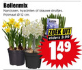klik op dit plaatje voor een vergroting en voor vergelijkbare aanbiedingen gerelateerd aan ` 12 bollenmix narcissen hyacinten blauwe druifjes potmaat cm zoek elders 3.99 ` 12 bollenmix narcissen hyacinten blauwe druifjes potmaat cm zoek elders 3.99