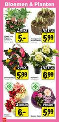 klik op dit plaatje voor een vergroting en voor vergelijkbare aanbiedingen gerelateerd aan ` 2 6 9 12 14 bloemen planten mix potmaat cm stuks arrangement boomschors bollen stuk 5.99 dagen pack hortensia 99 rozen bos stelen voordeel bossen boeket demi ` 2 6 9 12 14 bloemen planten mix potmaat cm stuks arrangement boomschors bollen stuk 5.99 dagen pack hortensia 99 rozen bos stelen voordeel bossen boeket demi