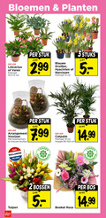 klik op dit plaatje voor een vergroting en voor vergelijkbare aanbiedingen gerelateerd aan ` 2 12 19 bloemen planten varen potmaat 10 cm stuk 3.99 blauwe druifjes hyacinten narcissen 3stuks arrangement voorjaar boomschors hollandse telers dagen hoogte 90-100 tulpen voordeel bossen boeket rosa bos ` 2 12 19 bloemen planten varen potmaat 10 cm stuk 3.99 blauwe druifjes hyacinten narcissen 3stuks arrangement voorjaar boomschors hollandse telers dagen hoogte 90-100 tulpen voordeel bossen boeket rosa bos