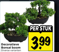 klik op dit plaatje voor een vergroting en voor vergelijkbare aanbiedingen gerelateerd aan ` decoratieve bonsai boom stuk 3.99 ` decoratieve bonsai boom stuk 3.99