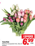 klik op dit plaatje voor een vergroting en voor vergelijkbare aanbiedingen gerelateerd aan ` 2 9 tulpen warme pastel mix bos stelen bossen ` 2 9 tulpen warme pastel mix bos stelen bossen