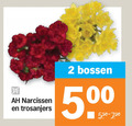 klik op dit plaatje voor een vergroting en voor vergelijkbare aanbiedingen gerelateerd aan ` 2 500 narcissen trosanjers bossen ` 2 500 narcissen trosanjers bossen