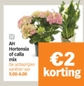 klik op dit plaatje voor een vergroting en voor vergelijkbare aanbiedingen gerelateerd aan ` tuinhortensia calla 2 hortensia mix varieeren ` tuinhortensia calla 2 hortensia mix varieeren