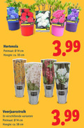 klik op dit plaatje voor een vergroting en voor vergelijkbare aanbiedingen gerelateerd aan ` 14 30 hortensia potmaat cm hoogte ca. 3.99 ` 14 30 hortensia potmaat cm hoogte ca. 3.99
