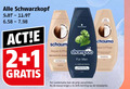klik op dit plaatje voor een vergroting en voor vergelijkbare aanbiedingen gerelateerd aan ` 1 2 schwarzkopf schuim repair shampoo for men combinatie pflege kassa ` 1 2 schwarzkopf schuim repair shampoo for men combinatie pflege kassa