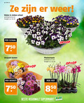 klik op dit plaatje voor een vergroting en voor vergelijkbare aanbiedingen gerelateerd aan ` 12 25 34 55 750 week weer violen zinken schaal potmaat cm hoogte ca. chrysant boeket phalaenopsis pot regionale supermarkt supermarkten ` 12 25 34 55 750 week weer violen zinken schaal potmaat cm hoogte ca. chrysant boeket phalaenopsis pot regionale supermarkt supermarkten
