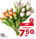 klik op dit plaatje voor een vergroting en voor vergelijkbare aanbiedingen gerelateerd aan ` 2 750 tulpen kleuren bossen mix ` 2 750 tulpen kleuren bossen mix