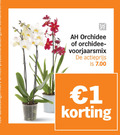 klik op dit plaatje voor een vergroting en voor vergelijkbare aanbiedingen gerelateerd aan ` 1 orchidee voorjaarsmix actieprijs ` 1 orchidee voorjaarsmix actieprijs