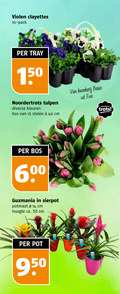 klik op dit plaatje voor een vergroting en voor vergelijkbare aanbiedingen gerelateerd aan ` 10 14 15 40 50 150 600 950 violen pack tray noordertrots tulpen kleuren bos stelen cm kwekerij baas noorder trots guzmania sierpot potmaat hoogte ca. pot ` 10 14 15 40 50 150 600 950 violen pack tray noordertrots tulpen kleuren bos stelen cm kwekerij baas noorder trots guzmania sierpot potmaat hoogte ca. pot