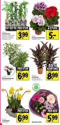klik op dit plaatje voor een vergroting en voor vergelijkbare aanbiedingen gerelateerd aan ` 2 12 14 19 55 fruitstruik zwarte bes abrikoos kruisbes braam framboos potmaat cm stuk franse geranium stuks rhododendron 6 99 calathea hoogte dagen vogelbad bollen boeket demi bos 5 ` 2 12 14 19 55 fruitstruik zwarte bes abrikoos kruisbes braam framboos potmaat cm stuk franse geranium stuks rhododendron 6 99 calathea hoogte dagen vogelbad bollen boeket demi bos 5