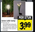 klik op dit plaatje voor een vergroting en voor vergelijkbare aanbiedingen gerelateerd aan ` solar led lamp grundig grondspies cm bloemen opladen zonne energie stuk 3.99 ` solar led lamp grundig grondspies cm bloemen opladen zonne energie stuk 3.99