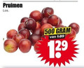 klik op dit plaatje voor een vergroting en voor vergelijkbare aanbiedingen gerelateerd aan ` 500 pruimen 13 ` 500 pruimen 13