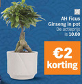 klik op dit plaatje voor een vergroting en voor vergelijkbare aanbiedingen gerelateerd aan ` 2 ficus ginseng pot actieprijs ` 2 ficus ginseng pot actieprijs