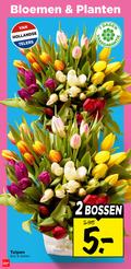 klik op dit plaatje voor een vergroting en voor vergelijkbare aanbiedingen gerelateerd aan ` 2 8 bloemen planten hollandse telers dagen tulpen bos stelen bossen ` 2 8 bloemen planten hollandse telers dagen tulpen bos stelen bossen