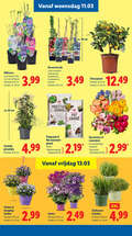 klik op dit plaatje voor een vergroting en voor vergelijkbare aanbiedingen gerelateerd aan ` 11 12 15 17 18 23 35 40 65 hibiscus woensdag ribes ca. cm kleuren lila wit roze blauw potmaat hoogte 3.99 rode bessen kruisbessen frambozen bramen bio moestuin grond volle premium pot terras balkonplanten jasmijn piramide potgrond 10-20 vrijdag hyacinten ranonkels violen basket italiaanse kruiden xxl ` 11 12 15 17 18 23 35 40 65 hibiscus woensdag ribes ca. cm kleuren lila wit roze blauw potmaat hoogte 3.99 rode bessen kruisbessen frambozen bramen bio moestuin grond volle premium pot terras balkonplanten jasmijn piramide potgrond 10-20 vrijdag hyacinten ranonkels violen basket italiaanse kruiden xxl