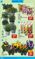 klik op dit plaatje voor een vergroting en voor vergelijkbare aanbiedingen gerelateerd aan ` 2 8 10 14 25 279 350 pack violen stuk cm kruidenplant klik gardenline waste vaste planten mix bijen vlinders stuks 00 bloembollen gekleurde rozen garden feelings ` 2 8 10 14 25 279 350 pack violen stuk cm kruidenplant klik gardenline waste vaste planten mix bijen vlinders stuks 00 bloembollen gekleurde rozen garden feelings