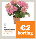 klik op dit plaatje voor een vergroting en voor vergelijkbare aanbiedingen gerelateerd aan ` hortensia 2 hortensiamix actieprijs ` hortensia 2 hortensiamix actieprijs