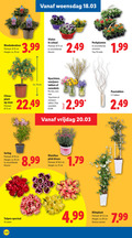 klik op dit plaatje voor een vergroting en voor vergelijkbare aanbiedingen gerelateerd aan ` violen tulpen hyacinten 10 12 15 17 18 25 60 65 woensdag rhododendron potmaat cm hoogte ca. 3.99 schaal kleuren perkplanten tray stuks citrus plant stam voorjaars takken ranonkels bos vaas vrijdag paastakken sering dianthus pink kisses 5 stelen klimplant 11 soorten ` violen tulpen hyacinten 10 12 15 17 18 25 60 65 woensdag rhododendron potmaat cm hoogte ca. 3.99 schaal kleuren perkplanten tray stuks citrus plant stam voorjaars takken ranonkels bos vaas vrijdag paastakken sering dianthus pink kisses 5 stelen klimplant 11 soorten