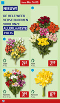 klik op dit plaatje voor een vergroting en voor vergelijkbare aanbiedingen gerelateerd aan ` ranonkels tulpen 50 week verse bloemen bos rozen cm narcissen ` ranonkels tulpen 50 week verse bloemen bos rozen cm narcissen