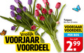 klik op dit plaatje voor een vergroting en voor vergelijkbare aanbiedingen gerelateerd aan ` tulpen 10 vrolijk voorjaar voordeel bos stelen ` tulpen 10 vrolijk voorjaar voordeel bos stelen