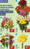 klik op dit plaatje voor een vergroting en voor vergelijkbare aanbiedingen gerelateerd aan ` tulpen ranonkels rozen 50 week verse bloemen bos cm narcissen ` tulpen ranonkels rozen 50 week verse bloemen bos cm narcissen