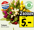 klik op dit plaatje voor een vergroting en voor vergelijkbare aanbiedingen gerelateerd aan ` tulpen 2 8 hollandse telers dagen bos stelen bossen ` tulpen 2 8 hollandse telers dagen bos stelen bossen