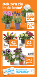 klik op dit plaatje voor een vergroting en voor vergelijkbare aanbiedingen gerelateerd aan ` lavendel tuinhortensia 1 2 4 600 biedingen productvarianten combineren lente stuks 90 00 bella donna franse geraniums stuk tulpenmix actieprijs terras hortensia perkgoed mix match bloemen online klik ` lavendel tuinhortensia 1 2 4 600 biedingen productvarianten combineren lente stuks 90 00 bella donna franse geraniums stuk tulpenmix actieprijs terras hortensia perkgoed mix match bloemen online klik