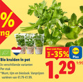 klik op dit plaatje voor een vergroting en voor vergelijkbare aanbiedingen gerelateerd aan ` kruidenplanten bio kruiden pot stuk munt tijm bieslook varieeren ` kruidenplanten bio kruiden pot stuk munt tijm bieslook varieeren